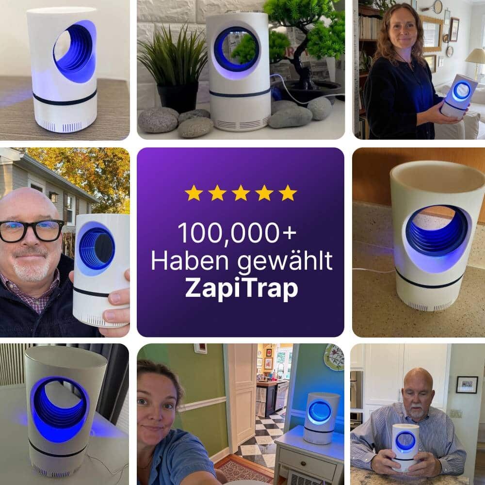 ZapiTrap image
